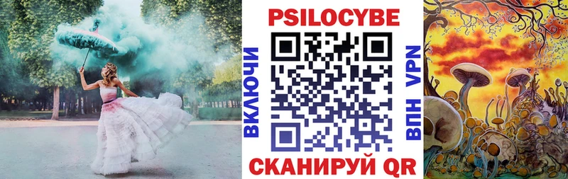 купить закладку  Мышкин  Псилоцибиновые грибы мицелий 